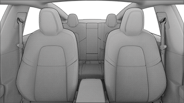 Example of camera view when Allow Cabin Camera Analytics is enabled