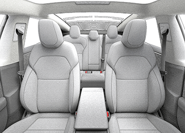 Example of camera view when Allow Cabin Camera Analytics is enabled