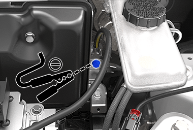 כבל שלילי של אספקת חשמל במתח נמוך המתחבר למסוף שלילי.