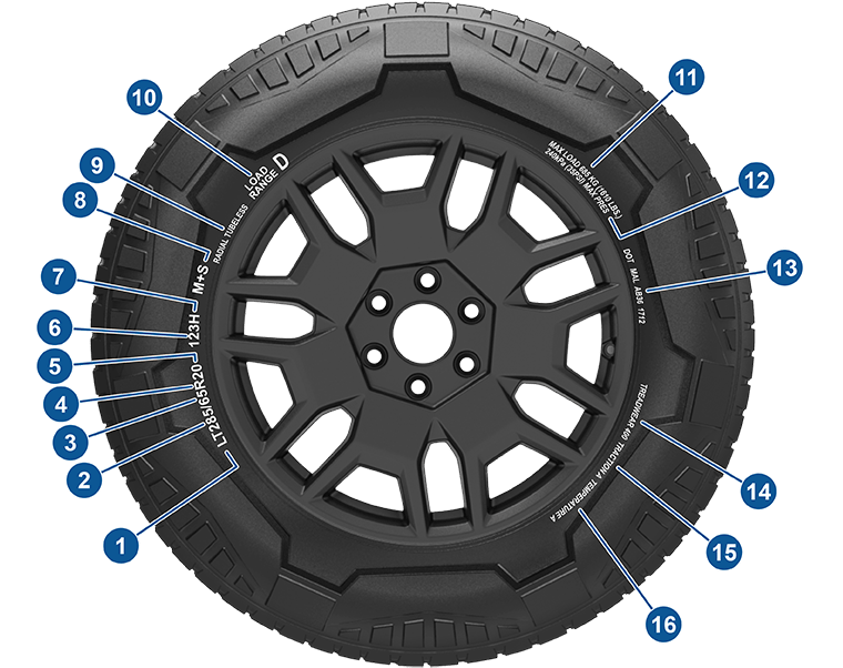 Ubicación de los datos en el flanco del neumático