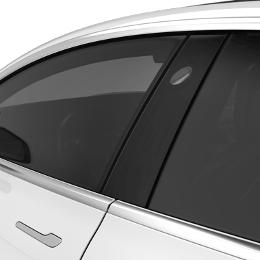 Driver's side door pillar