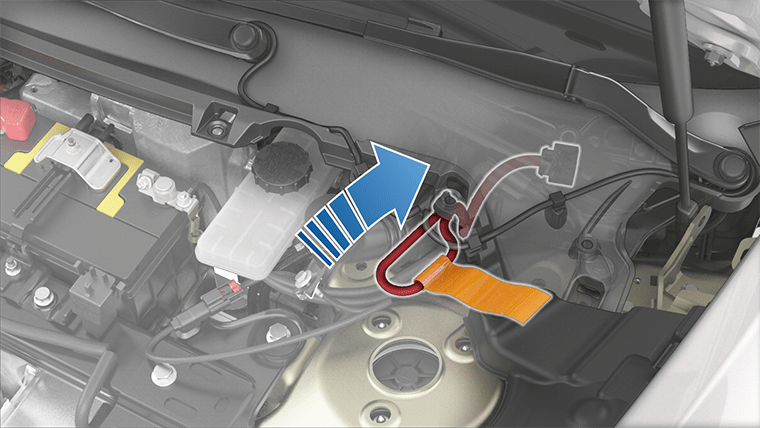 Arrow shows connecting first responder loop