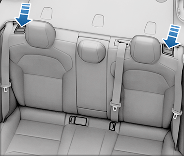 Front and Rear Seats